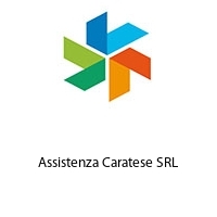 Assistenza Caratese SRL