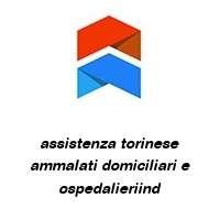 Logo assistenza torinese ammalati domiciliari e ospedalieriind