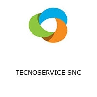 Logo TECNOSERVICE SNC