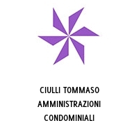 CIULLI TOMMASO AMMINISTRAZIONI CONDOMINIALI