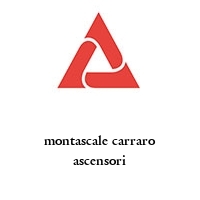 Logo montascale carraro ascensori
