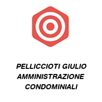 Logo PELLICCIOTI GIULIO AMMINISTRAZIONE CONDOMINIALI