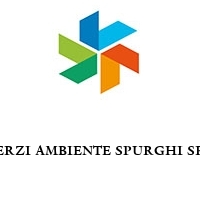 Logo TERZI AMBIENTE SPURGHI SRL
