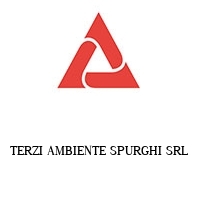 Logo TERZI AMBIENTE SPURGHI SRL