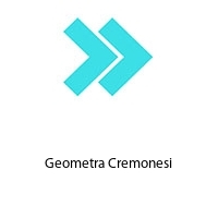 Geometra Cremonesi