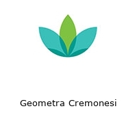 Geometra Cremonesi