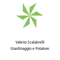 Logo Valerio Scalabrelli Giardinaggio e Potature