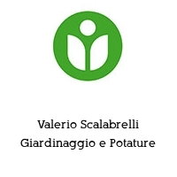 Valerio Scalabrelli Giardinaggio e Potature