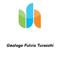 Logo Geologo Fulvio Turacchi