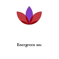 Logo Energreen snc