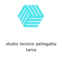 Logo studio tecnico pellegatta tania