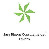 Logo Sara Biason Consulente del Lavoro
