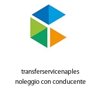Logo transferservicenaples noleggio con conducente