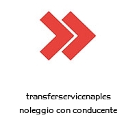 transferservicenaples noleggio con conducente