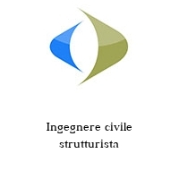 Logo Ingegnere civile strutturista