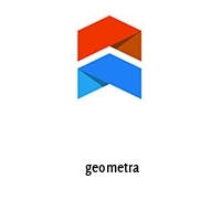 Logo  geometra