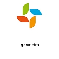 Logo  geometra