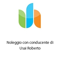 Logo Noleggio con conducente di Usai Roberto