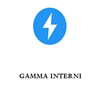 Logo GAMMA INTERNI