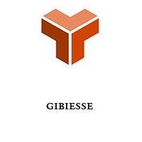 Logo GIBIESSE 