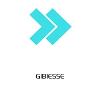 Logo GIBIESSE 