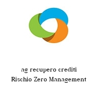 Logo ag recupero crediti Rischio Zero Management