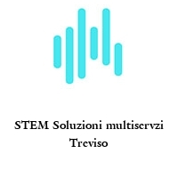 Logo STEM Soluzioni multiservzi Treviso