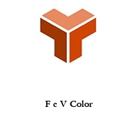 Logo F e V Color