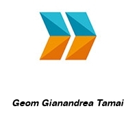 Logo Geom Gianandrea Tamai 