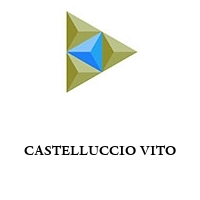 Logo CASTELLUCCIO VITO