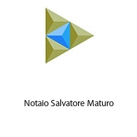 Logo Notaio Salvatore Maturo