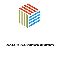 Logo Notaio Salvatore Maturo