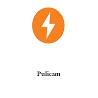 Logo Pulicam