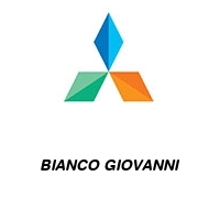 Logo BIANCO GIOVANNI