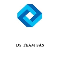 DS TEAM SAS