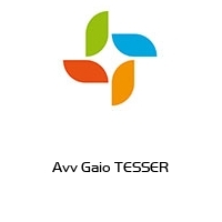 Logo Avv Gaio TESSER