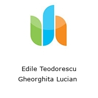 Edile Teodorescu Gheorghita Lucian 