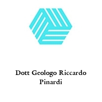 Logo Dott Geologo Riccardo Pinardi