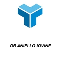 Logo DR ANIELLO IOVINE