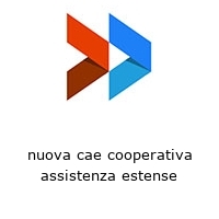 Logo nuova cae cooperativa assistenza estense