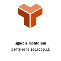 agricola monte san pantaleone soc.coop.r.l.