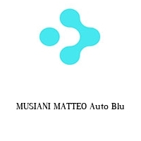 musiani matteo auto blu