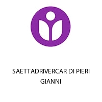 Logo SAETTADRIVERCAR DI PIERI GIANNI