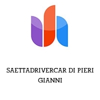 saettadrivercar di pieri gianni