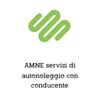 Logo AMNE servizi di autonoleggio con conducente