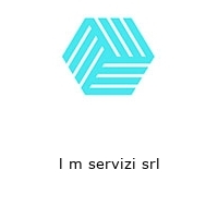 l m servizi srl