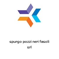 spurgo pozzi neri fasoli srl