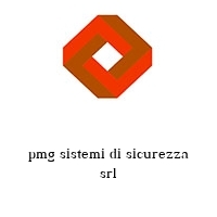 pmg sistemi di sicurezza srl