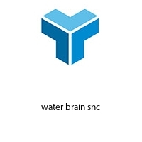 water brain snc