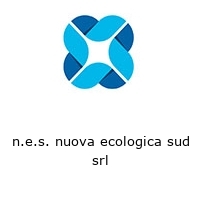 n.e.s. nuova ecologica sud srl